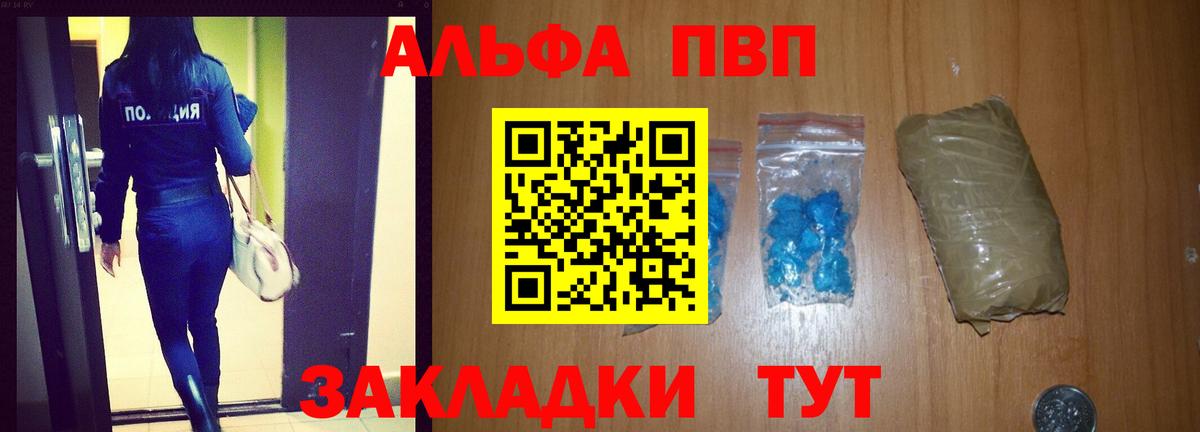 А ПВП крисы CK Кингисепп
