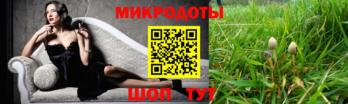 Галлюциногенные грибы GOLDEN TEACHER  Вход с VPN  Кингисепп 